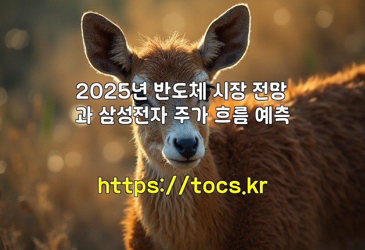 aiimg929726.jpg